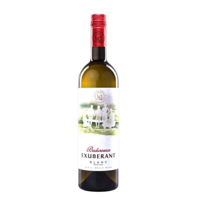 Vin alb demisec din cupaj vin alb Exuberant Budureasca Blanc.