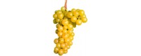 Golden geranium wines. Golden Muscat white wine.